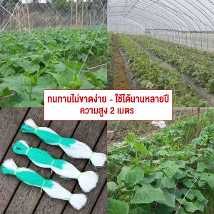 Sweet Belly ตาข่ายปลูกพืชผัก โครงไม้เลื้อย ค้างปลูกผัก อวนปลูกผัก Plant Support