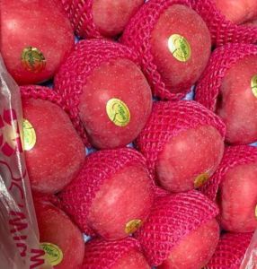 JV APLE PUJI IMFORT SUPER FRESS MANISS 1kg.