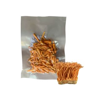 Đông trùng hạ thảo khô sấy thăng hoa 5g gãy