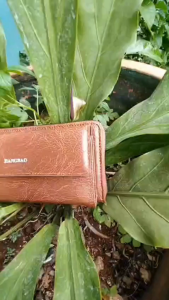 Dompet Panjang Wanita Korea Farzana Cokelat Casual WA1218B7 Fashion Murah Kulit Remaja