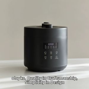 Olayks | Multifunctional Compact Electric Pressure Cooker