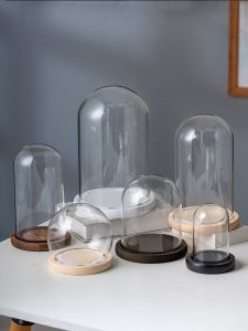 Display Dome Case for Decorative Collectible