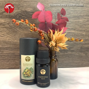 ACACIA SG Pure Frankincense Essential Oil | Oman Boswellia Sacra | 10ml | 100% Pure