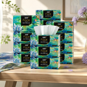 C&S | Large Size Household Tissues