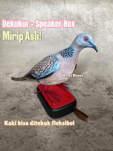 Paket Patung Burung Tekukur + Speaker Masteran Dekukur Balam