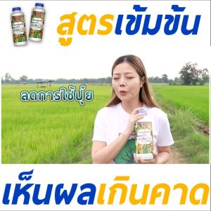 1 ขวด อมิหมิกเพื่อเร่งราก ดอก ใบเขียว ใบหนา พืชต้นโต ไว้ 14.5 กรัม ขนาด 6.5 x 4.3 มม ควบคุมความน้ำหนัก ลดต้นโทรม เพื่อช่วยให้กับผิวหน้า อย่างมีประสิทธิภาพ