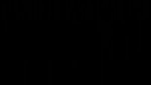 Box Exclusive Jam Tangan Naviforce Original NF-9213 HA-813UER / Jam Tangan Fashion Pria Tali Rantai Diameter 42cm