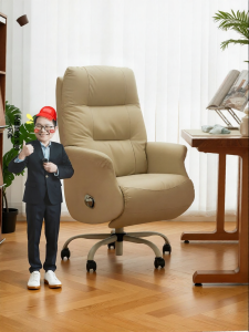 BOJOJAN | Ergonomic Office Chair Reclining Nap Gaming Sofa Computer Chair