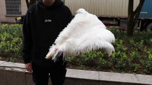 10/50/100/200Pcs High Quality Velvet Pink Ostrich Feathers 50-55cm Long Plumes for Wedding Stage Costume DIY Home Art Decoration