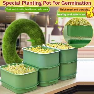Special Planting Pot For Germination Large Capacity Bean Sprouting Special Basin  For Home