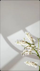 KS - Celana Pendek Wanita Jenia Motif Labubu Series // Celana Wanita Terbaru