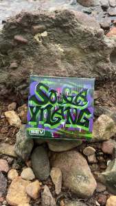 Sougayillang 5.0:1 Gear Ratio Spinning Reel: A Comprehensive Guide