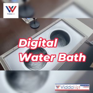 Water bath laboratory water bath heater HH-2 Lab Digital Thermostatic Water Bath Double Holes Electric Heating Bath 600W