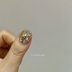 Champagne Gold Nail Art Glitter Multi-Color Fall Winter Fashion Beauty Tools Nail Dusting High Shine Glossy Nail Products