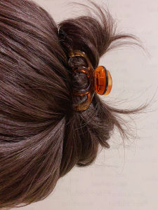 Womens Medium Small Hair Clips 2024 New Style Luxury Sensation Half Updo Shark Clip Hair Accessories Korean Style Fresh out