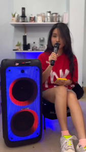 LOA KÉO KARAOKE iCORE i8 – CÔNG SUẤT 200W – 2 BASS 20CM – KÈM 2 MICRO UHF KHÔNG DÂY - Hàng chính hãng