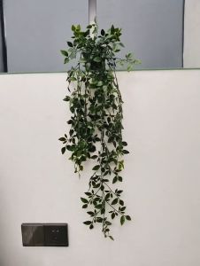 Cây Lá Rủ Nhựa Giả Trang Trí Nhà Kèm Chậu Mini Để Bàn Chậu Cây Nhựa Giả Decor Không Gian Sống Xanh Hiện Đại Và Tươi Mới