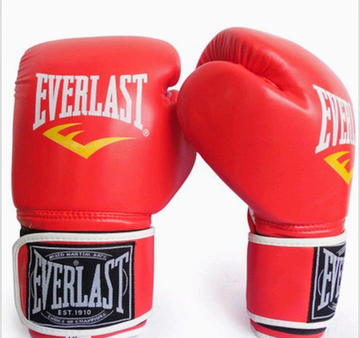 Everlast 10 oz boxing 2024 gloves