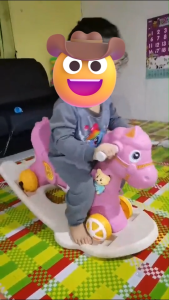 GOOGOO BIRD 4 IN 1 Kuda Goyang Mainan Budak Multifunctional Rocking Horse Kids Rider Push Car With Musc 摇摇马车