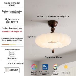 FANCY LAMP CLUB | Retro Song Dynasty Style Ceiling Light for Bedroom