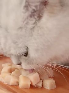 MeowLo Freeze Dried Pet Treat Pet Snack Cat Food Makanan Kucing Cat Treats Dog Treats Pet Food Freeze Dried Treat 宠物冻干