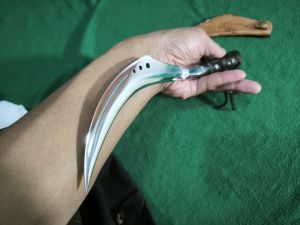 pisau dapur fultang panjang TTL 33cm