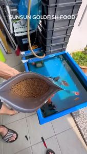 Sunsun Integrated Nutritional Goldfish Floating Fish Food 250g