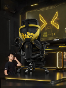 Ergonomic E-sports Chair