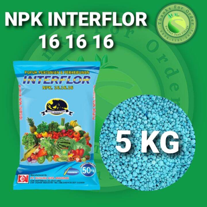 Kg Pupuk Npk Interflor Kemasan Repack Lazada Indonesia