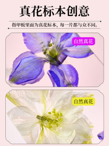 Artificial Nail Storage Board Traditional Chinese Guzheng Nail Extension Sample Real Flower Model Faux Nail Accessories