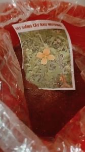 100g hạt giống cây rau mương