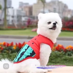 ส่วนตั้ง เสื้อยืด เสื้อสุนัข เสื้อหมา เสื้อแมว ลายแตงโม ลายน่ารักกระบายอากาศ สำหรับวันสบายๆ ใช้เนื้อผ้าพรีเมี่ยม