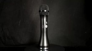 Brand New P2MAX Powerful 15W Portable Karaoke Microphone Megaphone Speaker Handheld for Singing Meeting Speaking Travel Outdoor