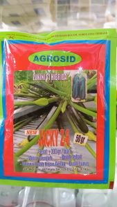 Benih Zukini Hibrida Jacky Z-6 50gram