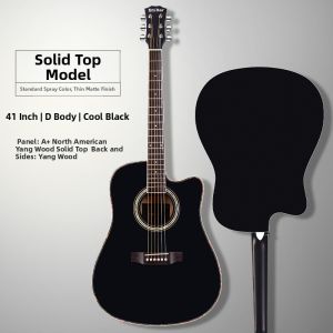 Acoustic Guitar for Beginners with Electric System