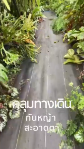 ลดเหลือ 48บาท/ตร.ม.พลาสติกคลุมดิน หน้ากว้าง 1.5 และ 2เมตร รุ่น Pro จากญี่ปุ่น ทนทานนาน 10 ปี ป้องกันรังสี UV หมดปัญหาหญ้าขึ้นกวนใจ