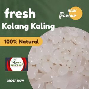kolang-kaling segar 1kg