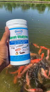 Navet-Vitalytes (1kg)_ Bổ sung Vitamin Axit Amin và Chất điện giải - Giúp tôm/cá tăng cân nhanh chóng