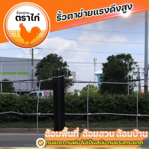 ส่งฟรี!!รั้วตาข่ายตราไก่ ช่อง 4x6 นิ้ว ความยาว 50 เมตร ความสูง 1.00-2.00 เมตร ลวดหนา 2.0 มิล ล้อมพื้นที่ ล้อมสวน ล้อมสัตว์ ผลิตในไทย