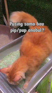 Remov Spray Penghilang Bau 250ml | Penghilang Bau Kotoran Kucing Dan Anjing