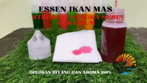Essen Ikan Mas Aroma Stroberi Nangka Susu Geranium Umpan Mancing