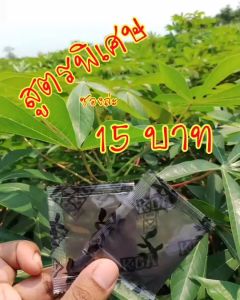 ผงดำKGAสารเสริมประสิทธิภาพปุ๋ยกึ่งฮอร์โมน