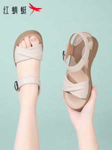 Reddragonfly | Anti-slip Comfortable Sandals Slippers for Middle-aged and Elderly Women