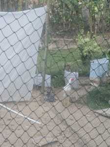 Jaring pagar bebek ayam 13 x 26 meter bonus tali ketebalan benang 1 mm lubang 2 x 2 cm atau 2 jari bisa cod tahan segala cuaca ukuran akan menyusut saat dipasang