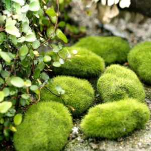 Green Artificial Grass Foam Moss Plants Micro Landscape Figurine DIY Home Decor Miniature Fairy Garden Decoration Accessories