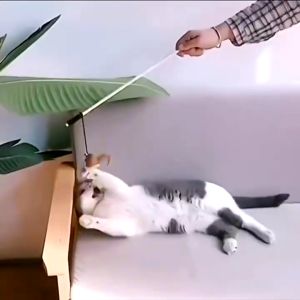 Hugopet Tongkat Kucing Mainan Kucing Anjing Stick Wooden  Mainan Interaktif Kucing Kayu