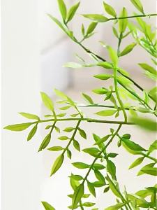 LIANYOU | High-end Luxury Fake Green Plant Indoor Decor Flower Tree Pot