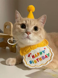 Pet Birthday Party Decoration Hat Cute Scarf Pet Costume Dog Cat Headwear Accessory Photo Prop Party Dress up Accessories