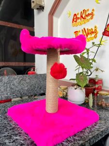 ĐỒ CHƠI BANH GAI CHO CHÓ MÈO