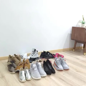 Shoe Rack Organizer & Shoe Box With Cover: A Comprehensive Guide